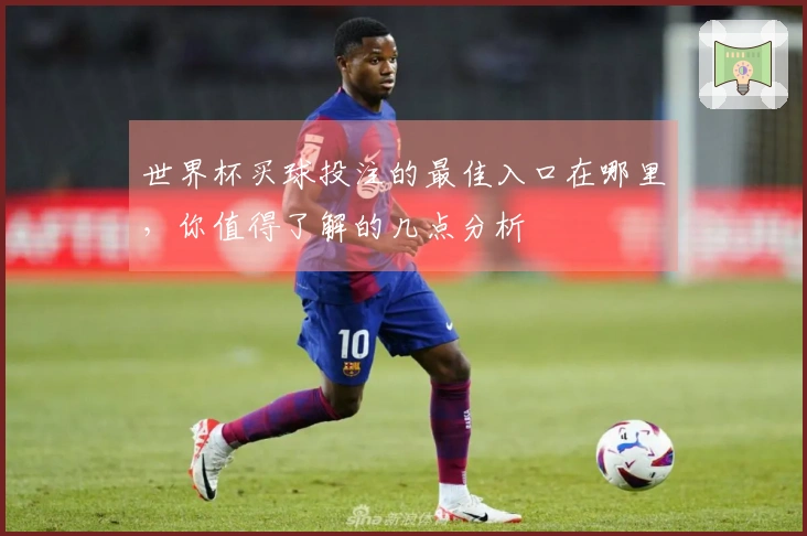 世界杯买球投注的最佳入口在哪里，你值得了解的几点分析