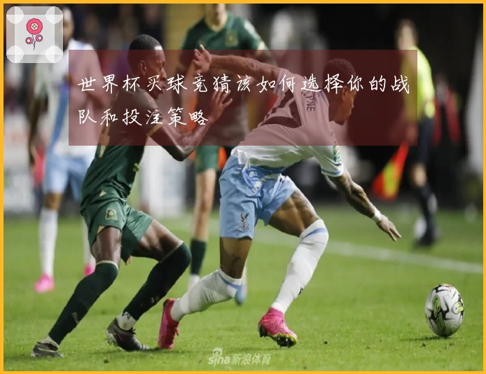 世界杯买球竞猜该如何选择你的战队和投注策略