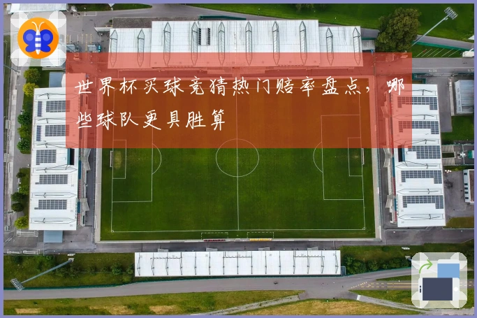 世界杯买球竞猜热门赔率盘点，哪些球队更具胜算