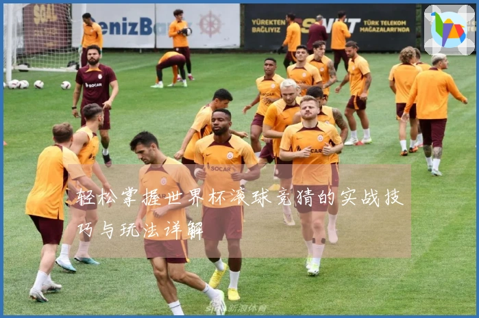 轻松掌握世界杯滚球竞猜的实战技巧与玩法详解